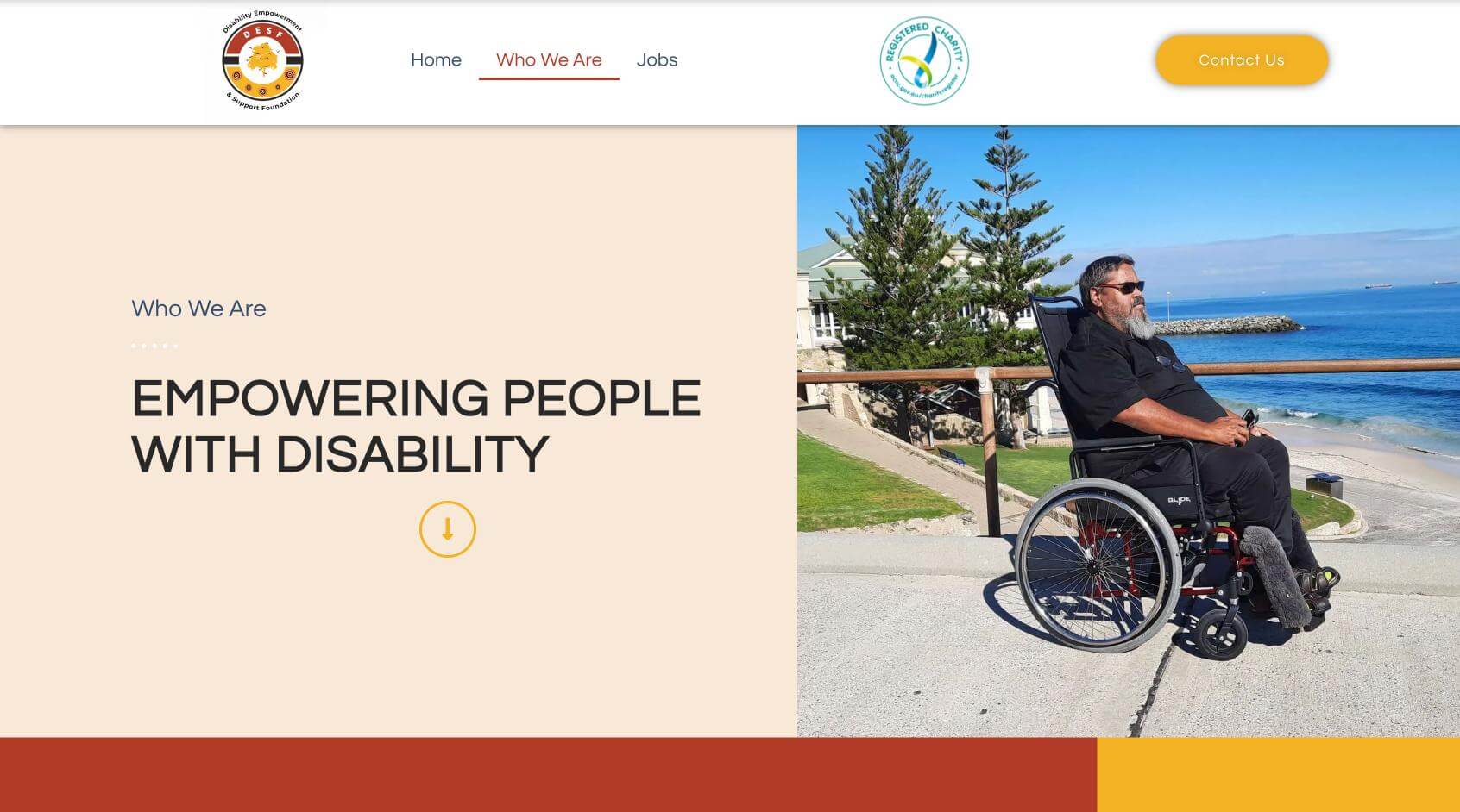 DESF Website Screenshot 2.jpg